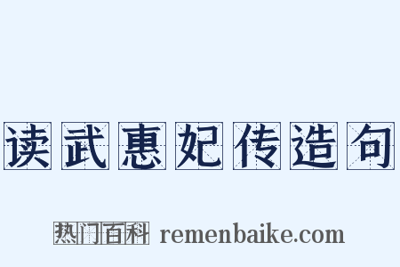 读武惠妃传造句是什么意思的图片